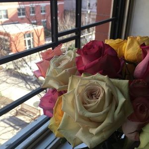 Meet your Posher, Nelsi